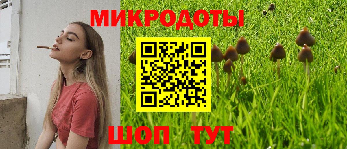 Галлюциногенные грибы прущие грибы  Топки 