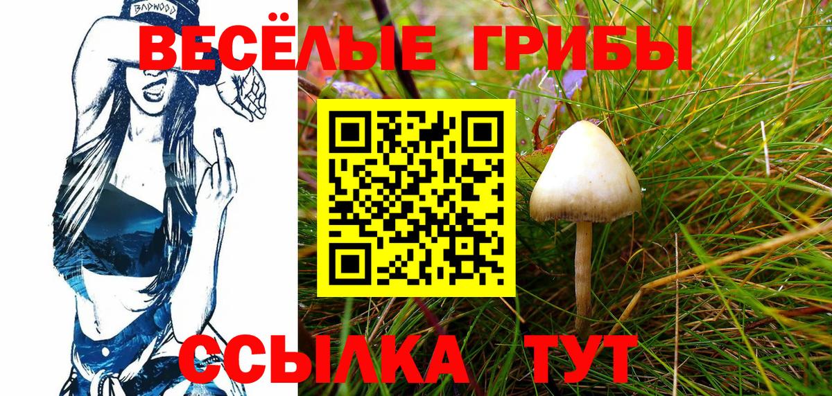 Галлюциногенные грибы Magic Shrooms Топки