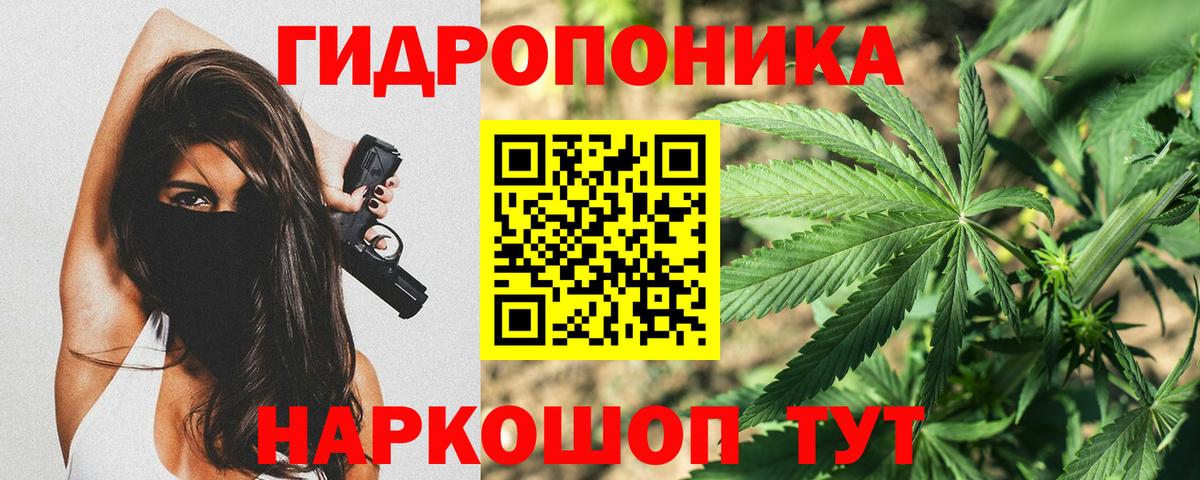 МАРИХУАНА сатива Топки